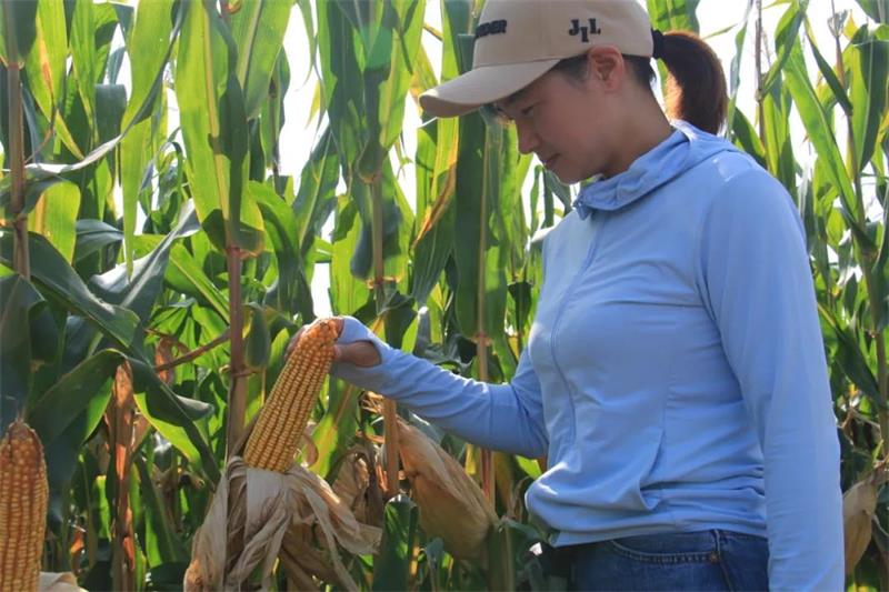 1634202375134584.jpg 100.jpg