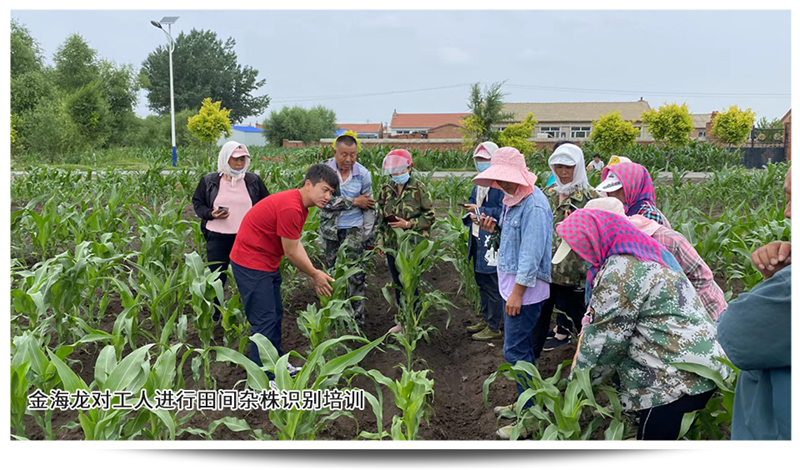 1689745985850874.png 圖片3.png